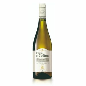 Finca La Colina Sauvignon Blanc 2025