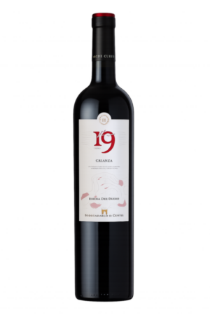 Hoyo 19