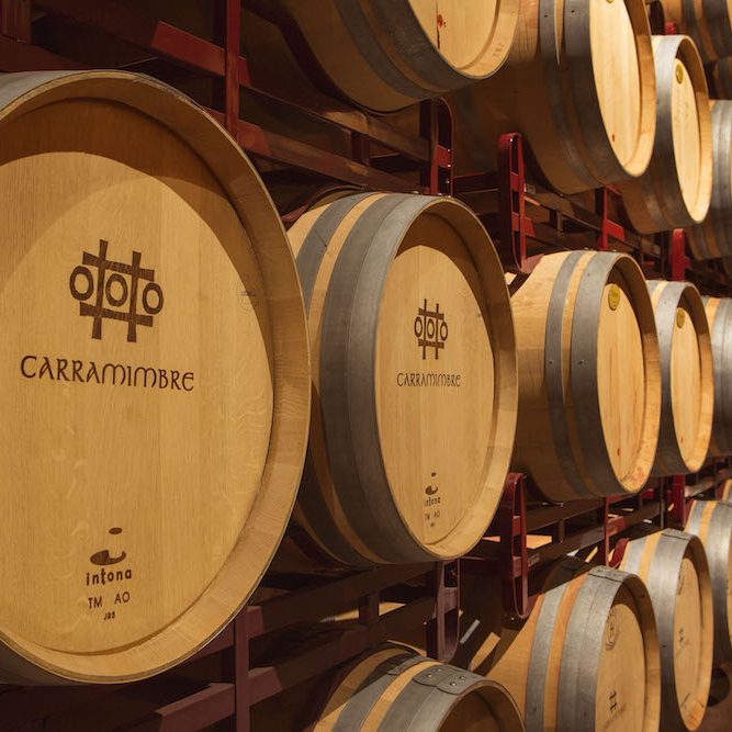 Bodega Carramimbre
