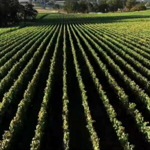 La Rioja Alta